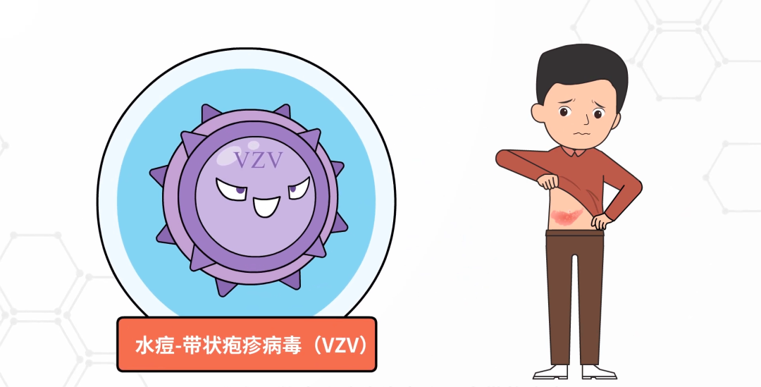 0e9810042bad501680a69c6195bf3041.png
