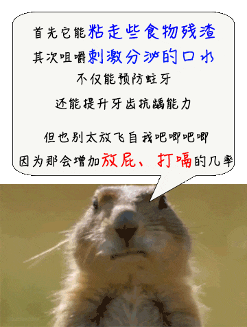 095a5bec3a98880471d8e45533546327.gif