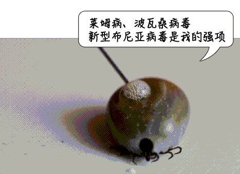 01bf2d00fc2486cb9b51fe919124704c.gif