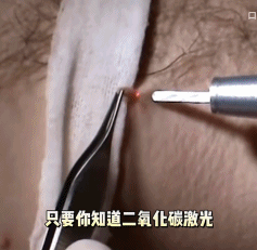 3b08e10cff64b05b79226a3530874dc5.gif