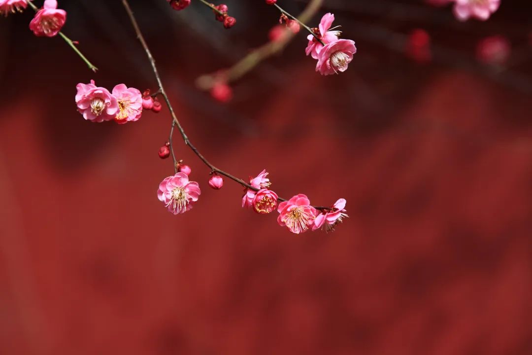 44724a3446ebe8f10f617a88835ae13a.jpeg