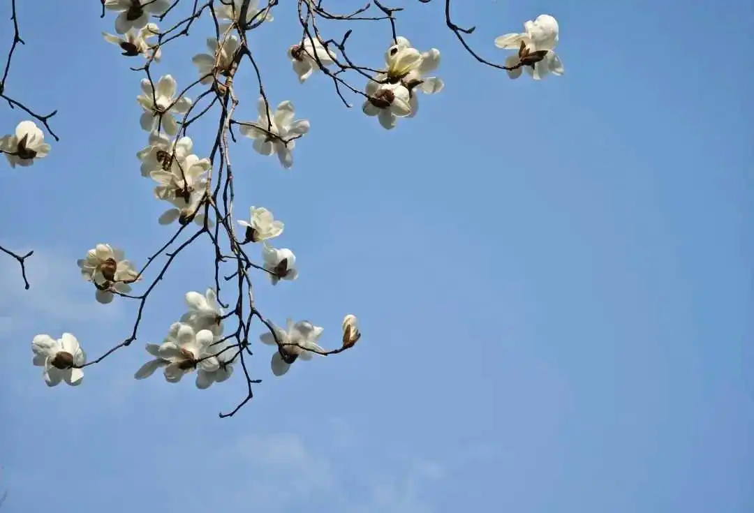 c72bf472489161a3f0466892f9270492.webp