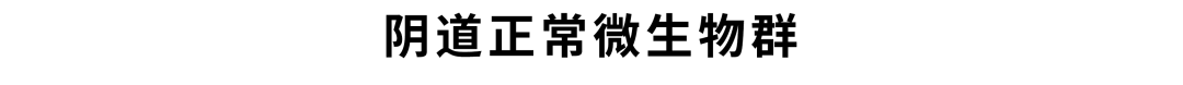 171bd9809f479ebb3e2df517b393d1d2.png