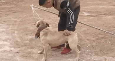 074e2f0e6b49e08c48fa8f85976e7f0a.gif