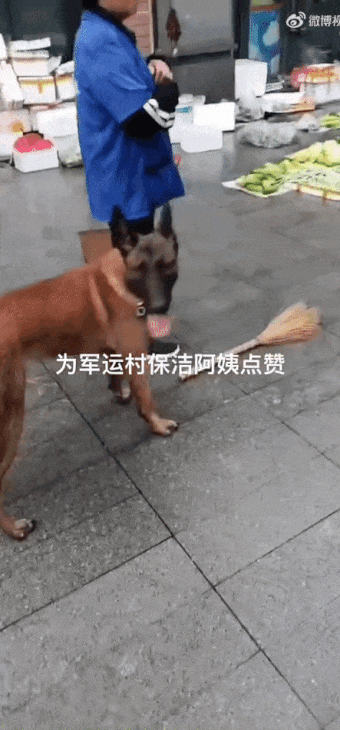 31e8eebd13a753eab169876175761a5f.gif