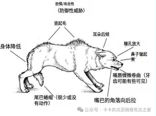 cbce936e1ea45d2c91bbbe7501452a43.png