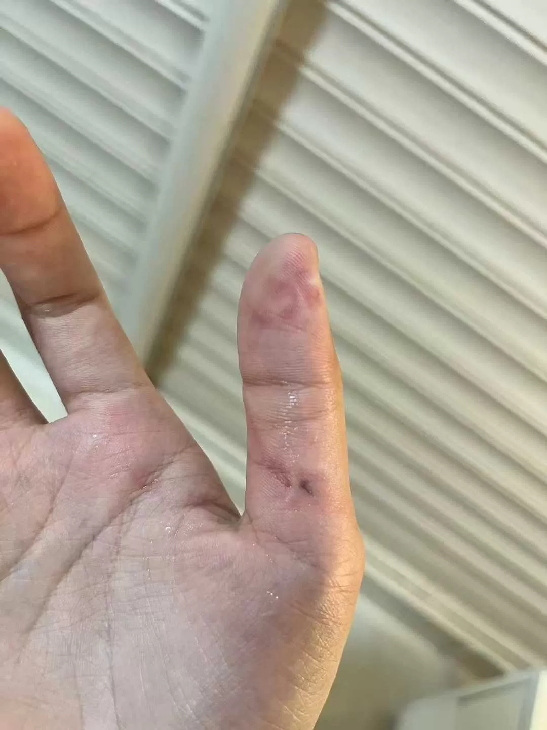 微信图片_20250609184254.webp