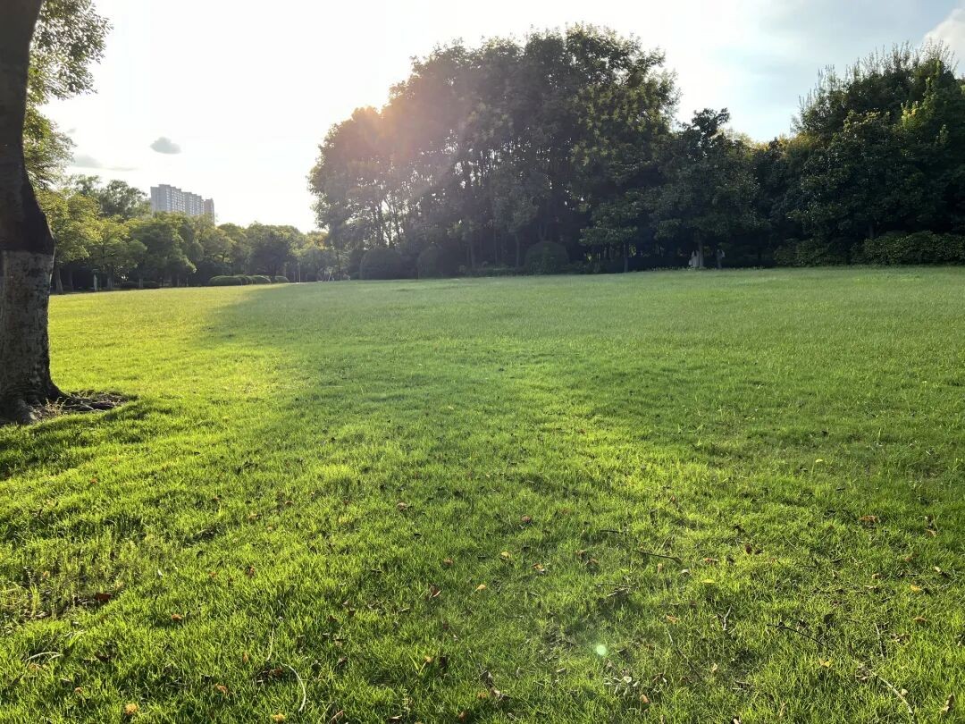 640.jpg