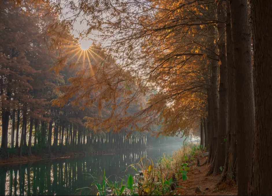image.webp