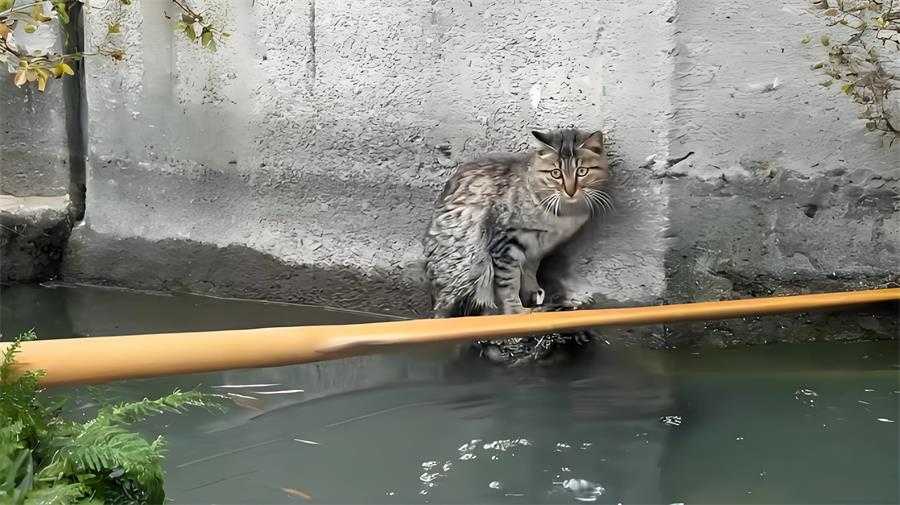 fGWZamMYa小.jpg